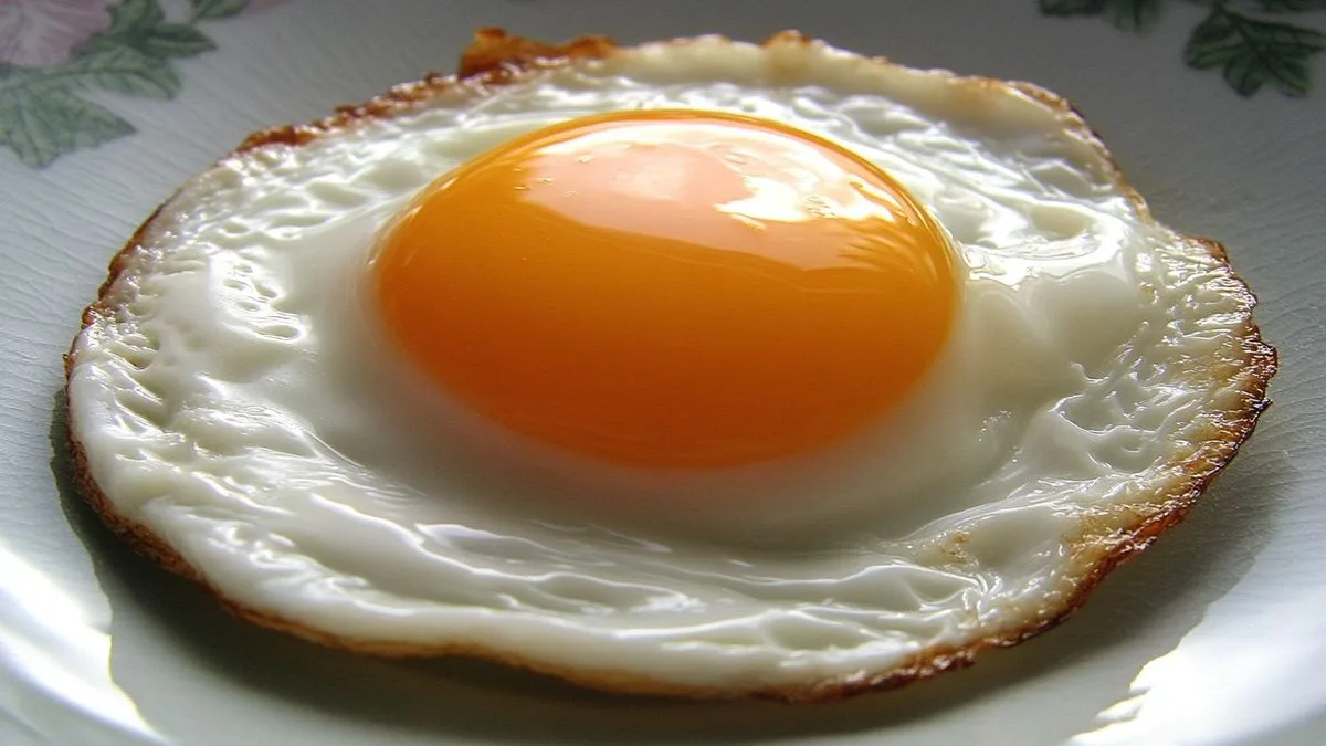 La consommation d'œufs au plat pendant la grossesse : est-ce sans risque ?