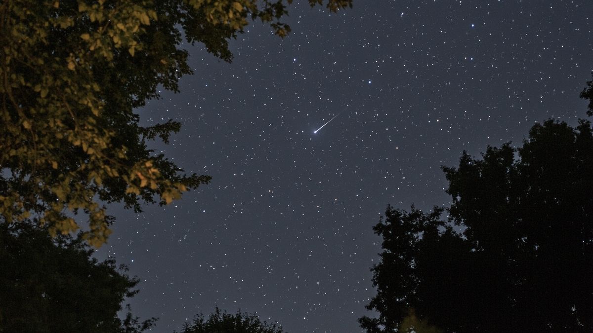 Cycles menstruel et lunaire : La Lune a-t-elle un impact sur vos menstruations ?